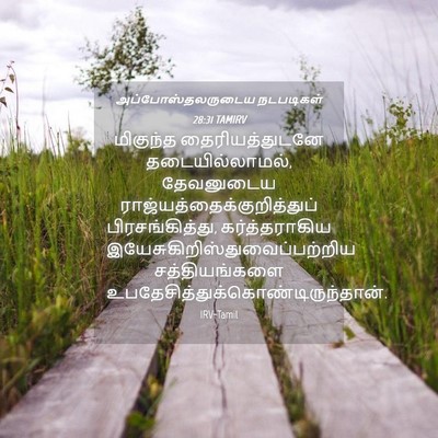Picture 04 - அப்போஸ்தலருடைய நடபடிகள் 28:31 TAMIRV - மிகுந்த - Bible Verse Picture
