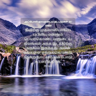 Picture 04 - அப்போஸ்தலருடைய நடபடிகள் 28:7 TAMIRV - தீவிற்கு - Bible Verse Picture