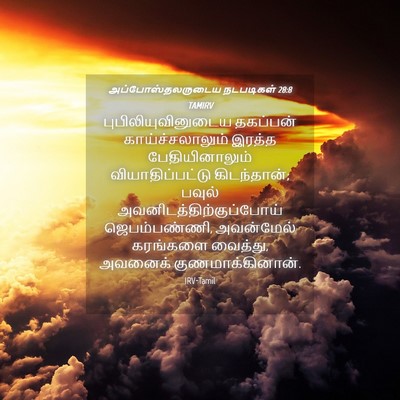 Picture 04 - அப்போஸ்தலருடைய நடபடிகள் 28:8 TAMIRV - புபிலியுவினுடைய - Bible Verse Picture