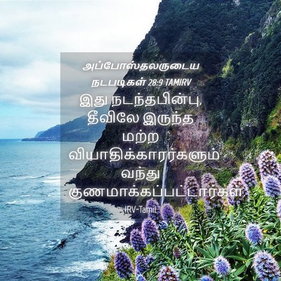 Picture 04 - அப்போஸ்தலருடைய நடபடிகள் 28:9 TAMIRV - இது நடந்தபின்பு, - Bible Verse Picture