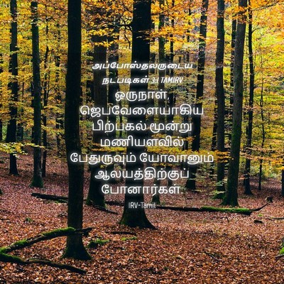 Picture 04 - அப்போஸ்தலருடைய நடபடிகள் 3:1 TAMIRV - ஒருநாள், - Bible Verse Picture