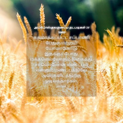 Picture 04 - அப்போஸ்தலருடைய நடபடிகள் 3:11 TAMIRV - சுகமாக்கப்பட்ட - Bible Verse Picture
