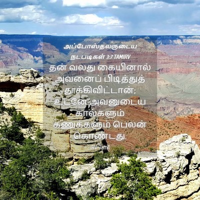 Picture 04 - அப்போஸ்தலருடைய நடபடிகள் 3:7 TAMIRV - தன் வலது கையினால் - Bible Verse Picture