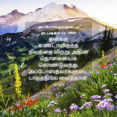 Picture 04 - அப்போஸ்தலருடைய நடபடிகள் 4:37 TAMIRV - தனக்கு - Bible Verse Picture