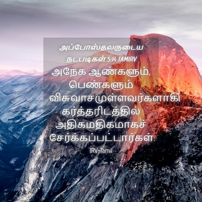 Picture 04 - அப்போஸ்தலருடைய நடபடிகள் 5:14 TAMIRV - அநேக ஆண்களும், - Bible Verse Picture