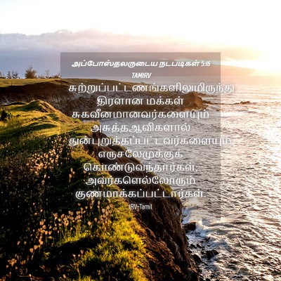Picture 04 - அப்போஸ்தலருடைய நடபடிகள் 5:16 TAMIRV -  - Bible Verse Picture