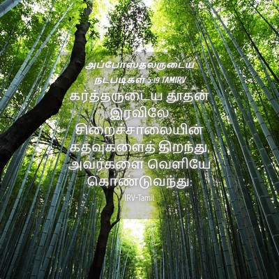 Picture 04 - அப்போஸ்தலருடைய நடபடிகள் 5:19 TAMIRV - கர்த்தருடைய தூதன் - Bible Verse Picture