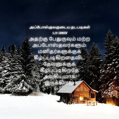 Picture 04 - அப்போஸ்தலருடைய நடபடிகள் 5:29 TAMIRV - அதற்கு பேதுருவும் - Bible Verse Picture
