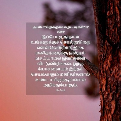 Picture 04 - அப்போஸ்தலருடைய நடபடிகள் 5:38 TAMIRV - இப்பொழுது நான் - Bible Verse Picture