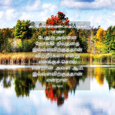 Picture 04 - அப்போஸ்தலருடைய நடபடிகள் 5:8 TAMIRV - பேதுரு அவளை - Bible Verse Picture