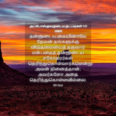Picture 04 - அப்போஸ்தலருடைய நடபடிகள் 7:25 TAMIRV - தன்னுடைய கையினாலே - Bible Verse Picture