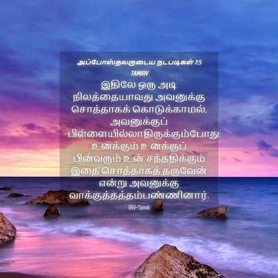 Picture 04 - அப்போஸ்தலருடைய நடபடிகள் 7:5 TAMIRV - இதிலே ஒரு அடி - Bible Verse Picture