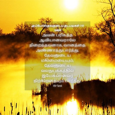 Picture 04 - அப்போஸ்தலருடைய நடபடிகள் 7:55 TAMIRV - அவன் பரிசுத்த - Bible Verse Picture