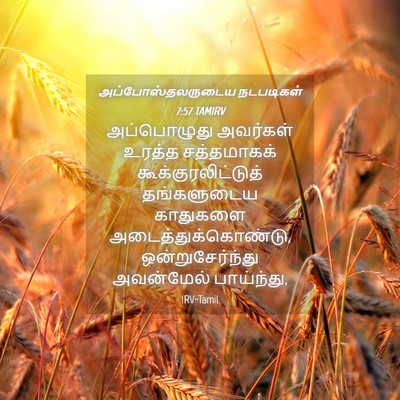 Picture 04 - அப்போஸ்தலருடைய நடபடிகள் 7:57 TAMIRV - அப்பொழுது அவர்கள் - Bible Verse Picture