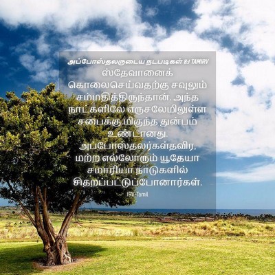 Picture 04 - அப்போஸ்தலருடைய நடபடிகள் 8:1 TAMIRV - ஸ்தேவானைக் - Bible Verse Picture
