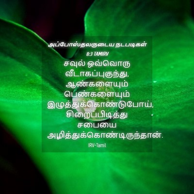 Picture 04 - அப்போஸ்தலருடைய நடபடிகள் 8:3 TAMIRV - சவுல் ஒவ்வொரு - Bible Verse Picture