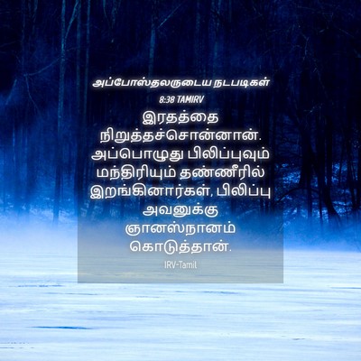 Picture 04 - அப்போஸ்தலருடைய நடபடிகள் 8:38 TAMIRV - இரதத்தை - Bible Verse Picture