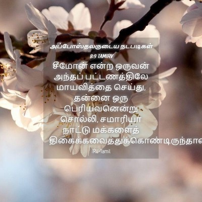 Picture 04 - அப்போஸ்தலருடைய நடபடிகள் 8:9 TAMIRV - சீமோன் என்ற - Bible Verse Picture