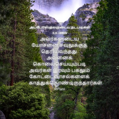 Picture 04 - அப்போஸ்தலருடைய நடபடிகள் 9:24 TAMIRV - அவர்களுடைய யோசனை - Bible Verse Picture