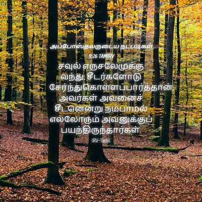 Picture 04 - அப்போஸ்தலருடைய நடபடிகள் 9:26 TAMIRV - சவுல் - Bible Verse Picture