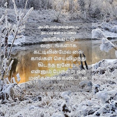 Picture 04 - அப்போஸ்தலருடைய நடபடிகள் 9:33 TAMIRV - அங்கே எட்டு - Bible Verse Picture
