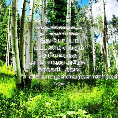 Picture 04 - அப்போஸ்தலருடைய நடபடிகள் 9:42 TAMIRV - இது யோப்பா - Bible Verse Picture