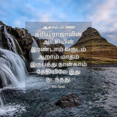 Picture 04 - ஆகாய் 1:15 TAMIRV - தரியு ராஜாவின் - Bible Verse Picture