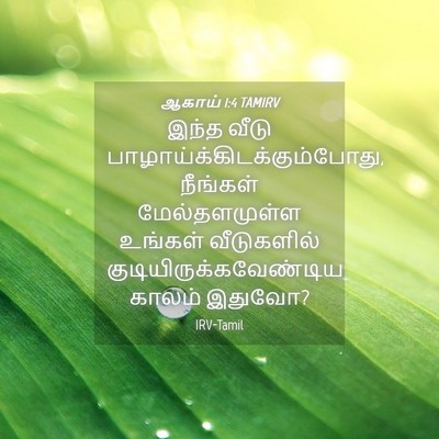 Picture 04 - ஆகாய் 1:4 TAMIRV - இந்த வீடு - Bible Verse Picture