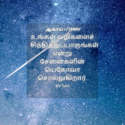 Picture 04 - ஆகாய் 1:7 TAMIRV - உங்கள் வழிகளைச் - Bible Verse Picture
