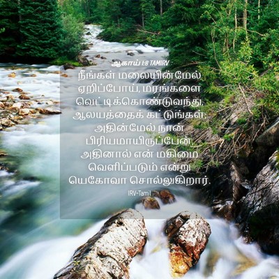 Picture 04 - ஆகாய் 1:8 TAMIRV - நீங்கள் - Bible Verse Picture