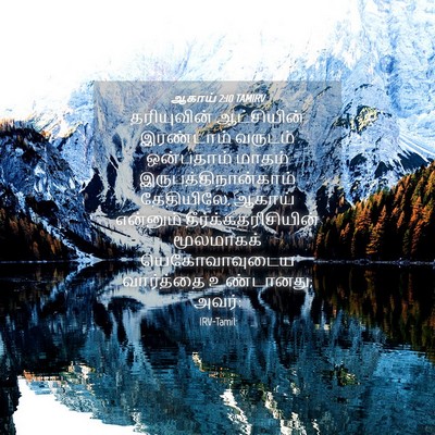 Picture 04 - ஆகாய் 2:10 TAMIRV - தரியுவின் - Bible Verse Picture
