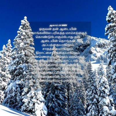 Picture 04 - ஆகாய் 2:11 TAMIRV - ஒருவன் தன் - Bible Verse Picture