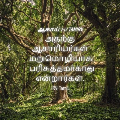 Picture 04 - ஆகாய் 2:12 TAMIRV - அதற்கு - Bible Verse Picture