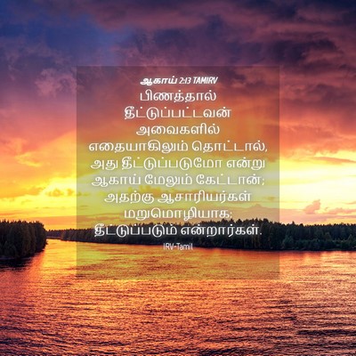 Picture 04 - ஆகாய் 2:13 TAMIRV - பிணத்தால் - Bible Verse Picture