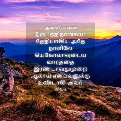 Picture 04 - ஆகாய் 2:20 TAMIRV - இருபத்திநான்காம் - Bible Verse Picture