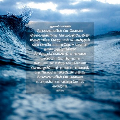 Picture 04 - ஆகாய் 2:23 TAMIRV - சேனைகளின் யெகோவா - Bible Verse Picture