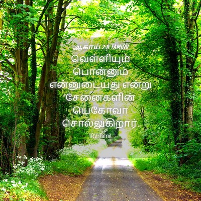 Picture 04 - ஆகாய் 2:8 TAMIRV - வெள்ளியும் - Bible Verse Picture