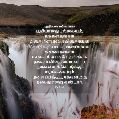 Picture 04 - ஆதியாகமம் 1:12 TAMIRV - பூமியானது - Bible Verse Picture