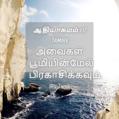 Picture 04 - ஆதியாகமம் 1:17 TAMIRV - அவைகள் - Bible Verse Picture