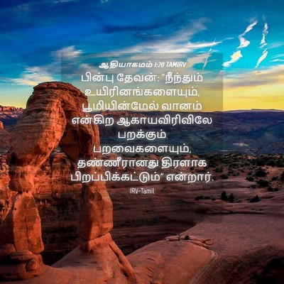 Picture 04 - ஆதியாகமம் 1:20 TAMIRV - பின்பு தேவன்: - Bible Verse Picture