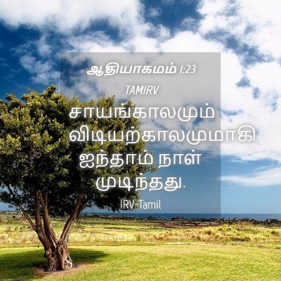 Picture 04 - ஆதியாகமம் 1:23 TAMIRV - சாயங்காலமும் - Bible Verse Picture