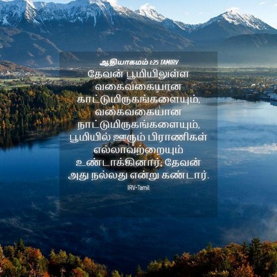 Picture 04 - ஆதியாகமம் 1:25 TAMIRV - தேவன் பூமியிலுள்ள - Bible Verse Picture