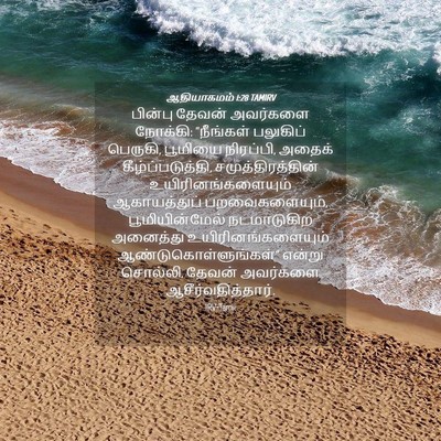 Picture 04 - ஆதியாகமம் 1:28 TAMIRV - பின்பு தேவன் - Bible Verse Picture