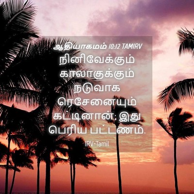 Picture 04 - ஆதியாகமம் 10:12 TAMIRV - நினிவேக்கும் - Bible Verse Picture