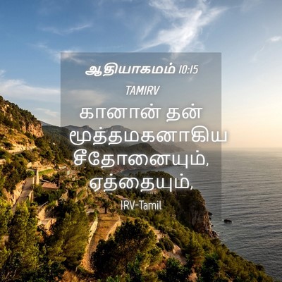 Picture 04 - ஆதியாகமம் 10:15 TAMIRV - கானான் தன் - Bible Verse Picture