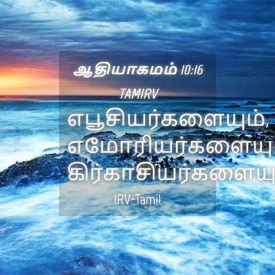Picture 04 - ஆதியாகமம் 10:16 TAMIRV - எபூசியர்களையும், - Bible Verse Picture