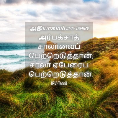 Picture 04 - ஆதியாகமம் 10:24 TAMIRV - அர்பக்சாத் - Bible Verse Picture