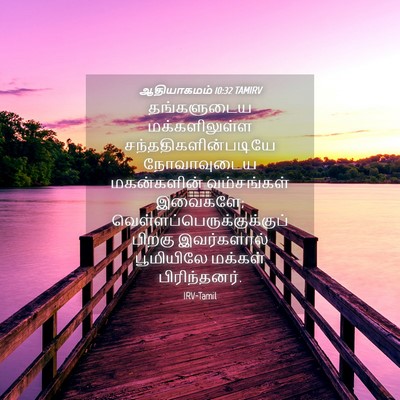 Picture 04 - ஆதியாகமம் 10:32 TAMIRV - தங்களுடைய - Bible Verse Picture
