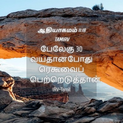 Picture 04 - ஆதியாகமம் 11:18 TAMIRV - பேலேகு 30 வயதானபோது - Bible Verse Picture