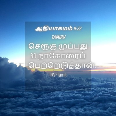 Picture 04 - ஆதியாகமம் 11:22 TAMIRV - செரூகு முப்பது 30 - Bible Verse Picture